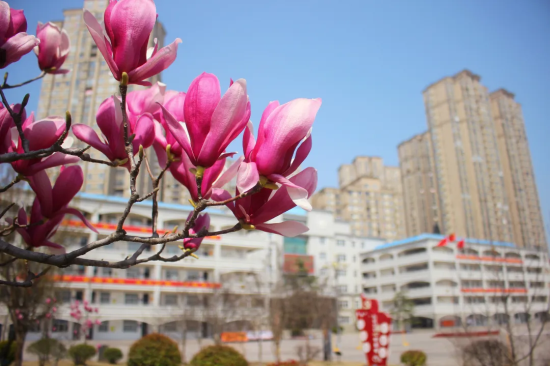 大美城中，筑梦启航——景行篇（一）