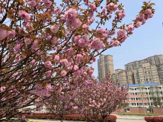 d1a74a3f239c9532c8339f37bebcfbdd9e7aa9fe