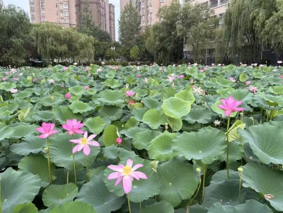 f28263bd2e5ea668521d34d566a0c772cb9f9cf8